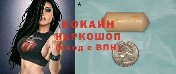 кокс Ельня