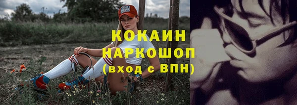 кокс Ельня