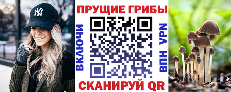 darknet состав  Инза  Галлюциногенные грибы мицелий 